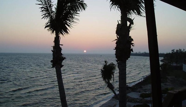 Bokeelia BeachHouse Snapper