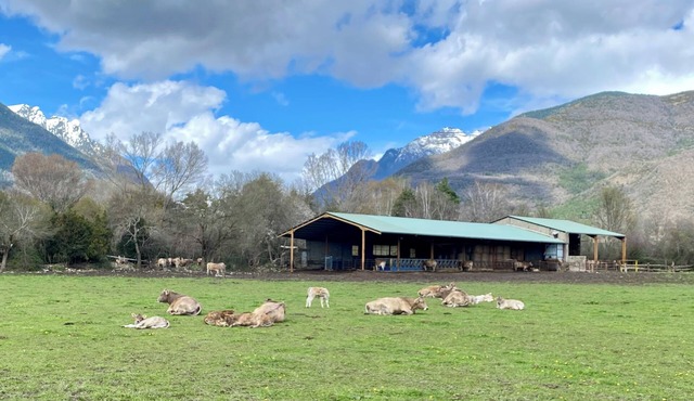 Bonito Duplex en Biescas ,entorno Rural a 20min Estacion Sky. Apta Mascotas