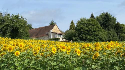 Bonnes Routes - 4 star gite in the Perigord Vert