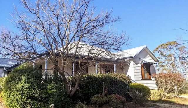 Bonnie Belle Escape Little Hartley