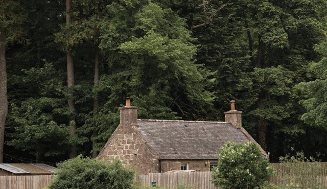 Bonnie Dye Bothy is a charming and beautifully finished countryside retreat for two. Outside, you’ll find a hand-built outdoor kitchen with a Big Green Egg barbecue and a private Swedish wood-fired hot tub. Pet friendly sleeping 2.