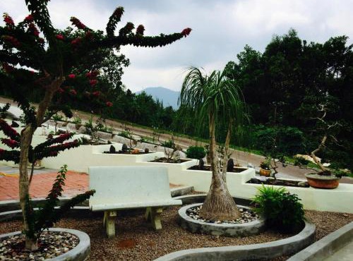 Bonsai Homestay Kluang - Meranti