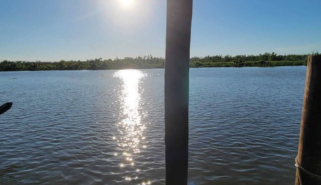 Book and enjoy the outdoors! See weekday discounts! 30min from New Orleans n