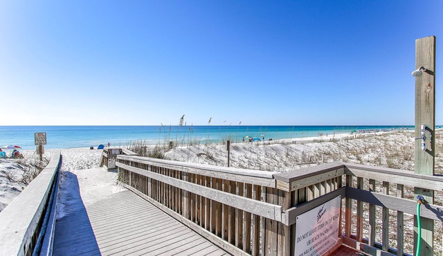 🦩Book Me Baby! Gulf-Front Condo With Gorgeous Views 🦩