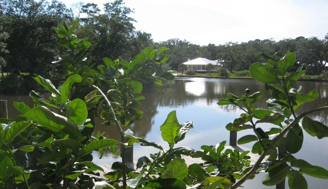 Book Now for Spring Break and Summer!