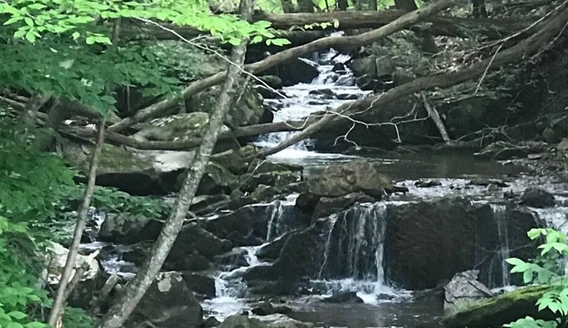 Book Now for Summer Stays! 2 Bedroom Cabin near Creek with Mountain Views