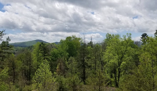 Bookings underway! Comfy & fabulous mountain views near Asheville & Weaverville.