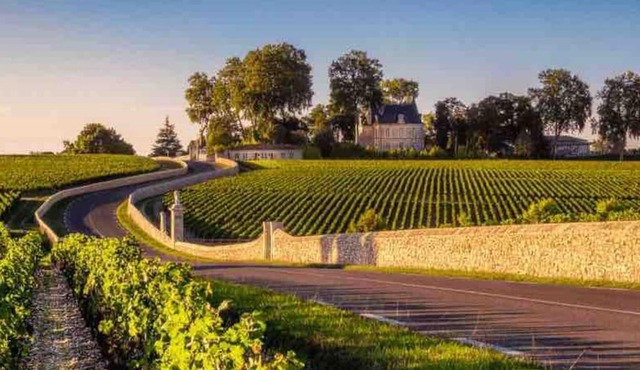 Bordeaux / Médoc - Route Des Châteaux