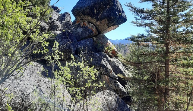 Borders year around outdoor recreation, 3.34 million acres of US National Forest