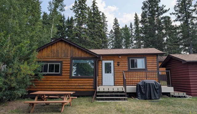 Boreal Owl: A cozy 1-bedroom lakefront cabin at Clearwater Lake