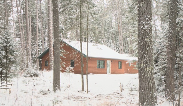 Boreal Retreat | Hideaway Under the Pines