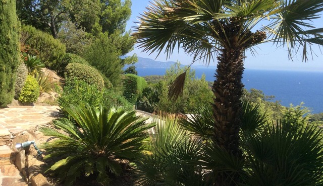 Bormes Les Mimosas Cape Benat. Guarded private domain.