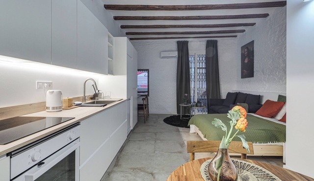Born 1BR Apartment in Quaint Barcelona with AC
