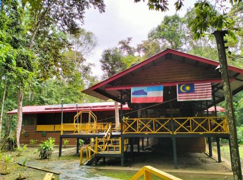 Borneo Jungle Adventure