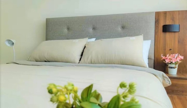 Borneo Modern Couple Suite @ Riverine Kuching