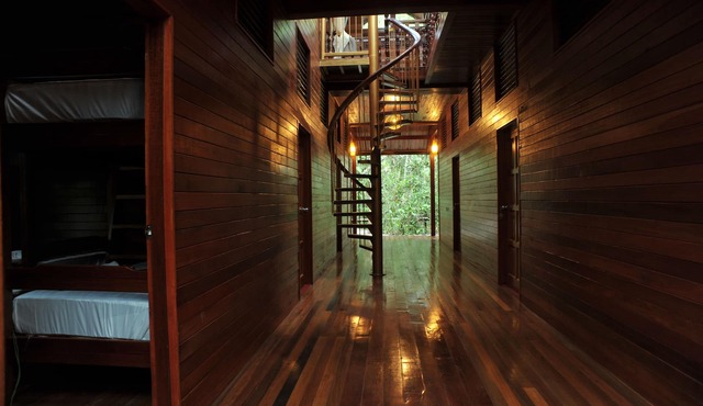 Borneo Natural Sukau Bilit Resort