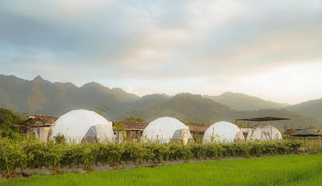 Borobudur Luxury Glamping