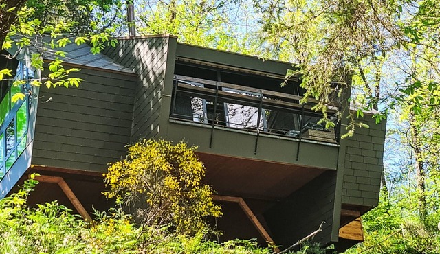 Bosco della Bella 6 by Interhome