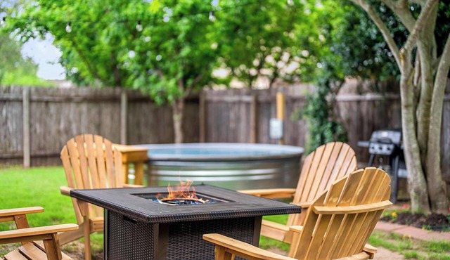 Botanist Retreat Pet-Friendly Austin Home Yard
