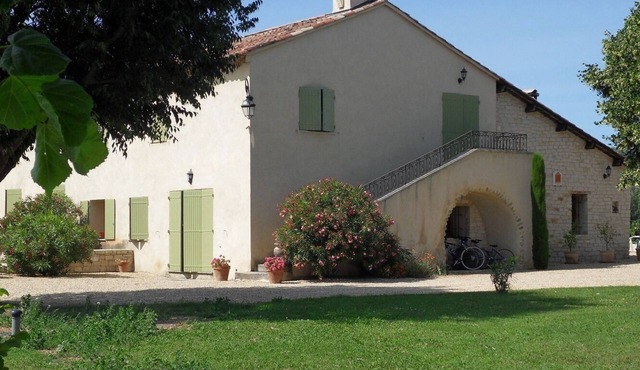 Bottle gardens: The Hackberry