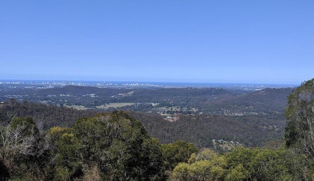 Bottletree Gardens - Mini Manson Blue