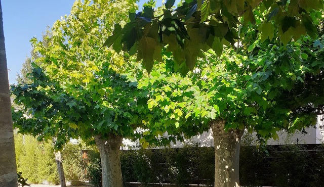 Bottom of villa in mansion with private and secure swimming pool