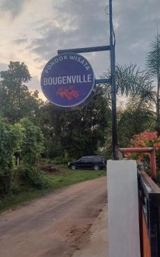 BougenVille