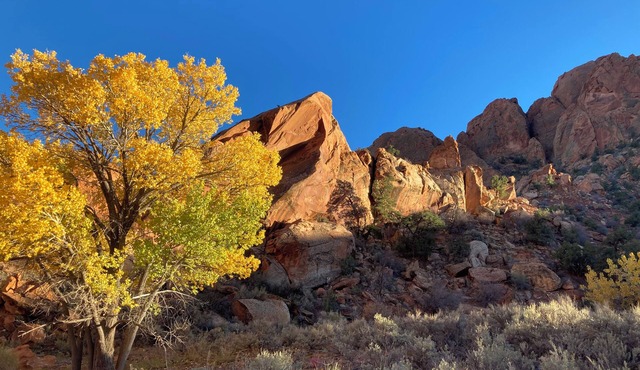 Boulder Canyons Nano Cabin