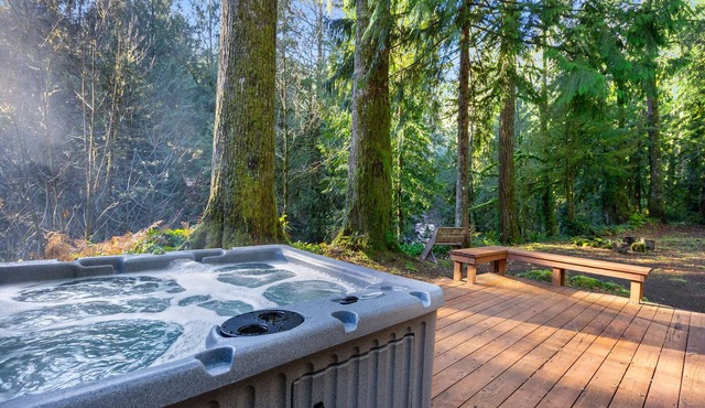 Boulder Creek Retreat: A cozy chalet for 6 with a hot tub by the creek.