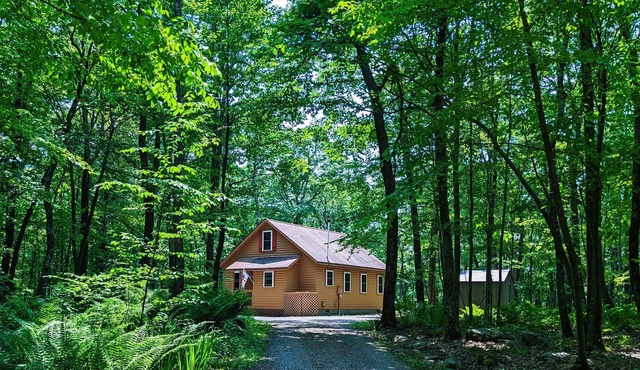 Boulder Ridge Cabin -a private chalet in the woods