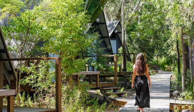 Bounce Magnetic Island and Koala Park