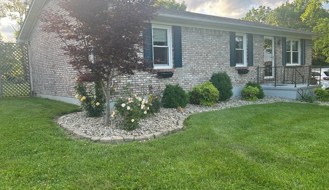 Bourbon And Horses II