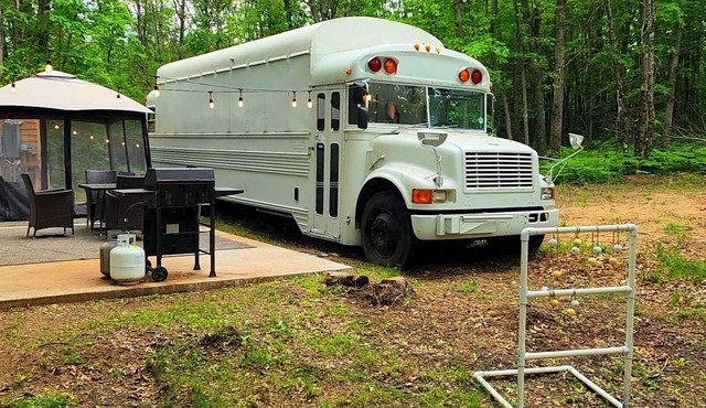 Bourbon St BlueBird Bus on 10 ACRES Dog Friendly
