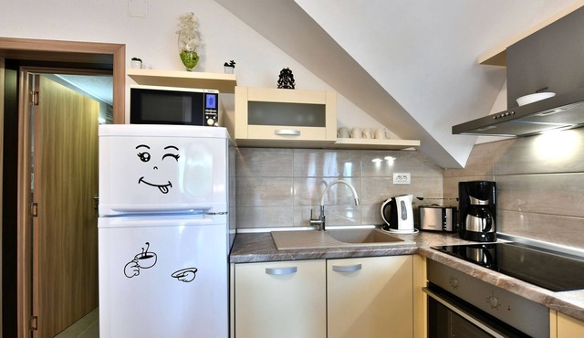 Boutique Apartment in Selište Drežnićko with Garden
