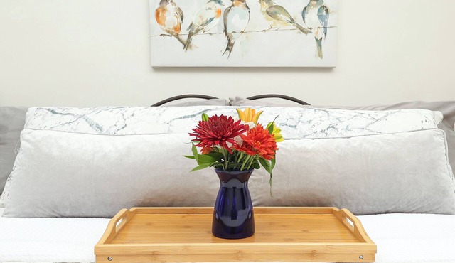 Boutique Conshohocken (near Philadelphia) King & Queen Suite - Breakfast Included