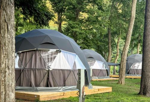 Boutique Glamping Dome in the Catskill Mountains
