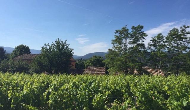 Boutique home with beautiful garden and large pool, short walk into town