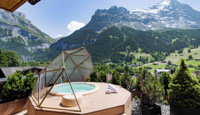 Boutique Hotel Glacier