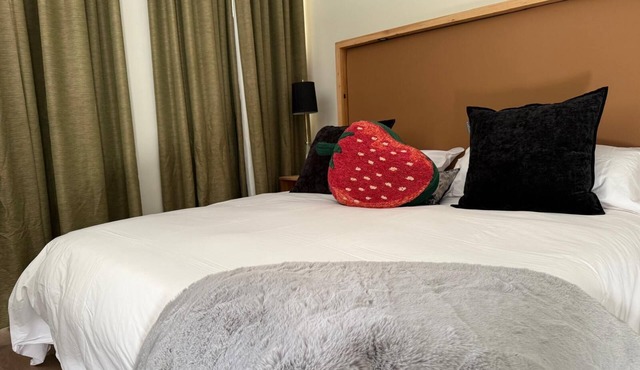 Boutique hotel near street car and convention center