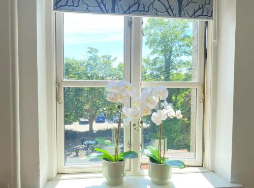 Boutique lejlighed Nakskov