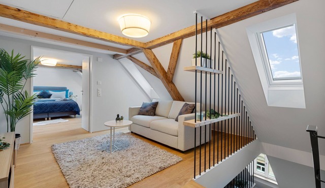 Boutiquepenthousefreeparkingprivateroofterrace in the Center of Zurich