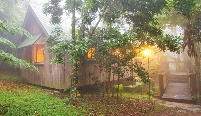 Bowerbird: Mt Glorious Getaways