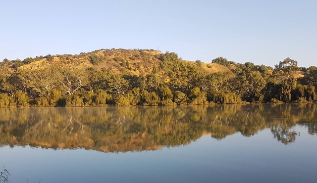 Bowhill Riverfront Shack