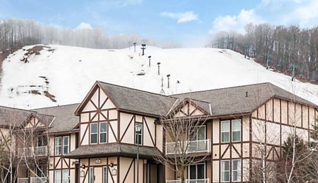 Boyne Mountain 1 BR Condo (A), Full Kitchen, in-unit washer/dryer, fireplace