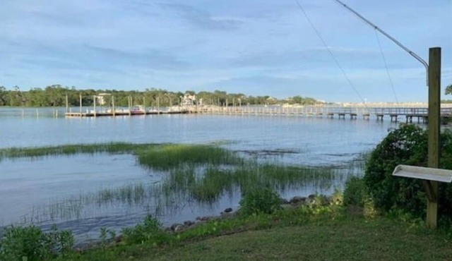 Bradley Creek Scenic View