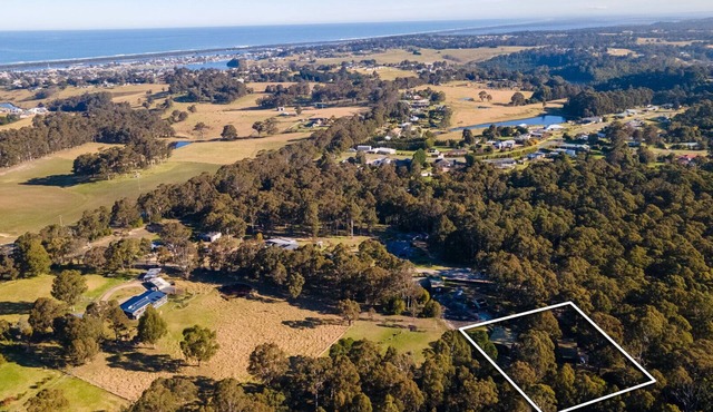 Braeview: Sitting among the tree tops in a peaceful bush setting