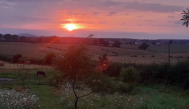 Bramble Cottage. A charming gîte in the heart of the French countryside