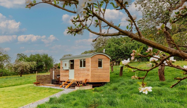 Bramley Hut near Allerford