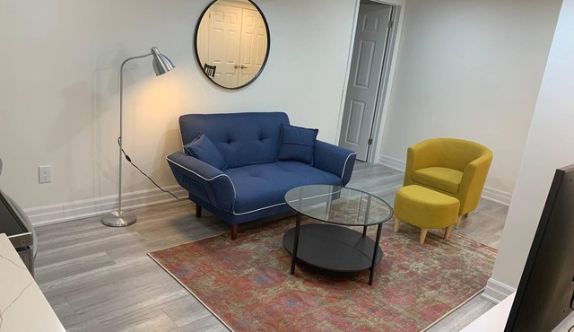 Brand new,1 bedroom,1 bathroom, bright & cozy basement/Newmarket