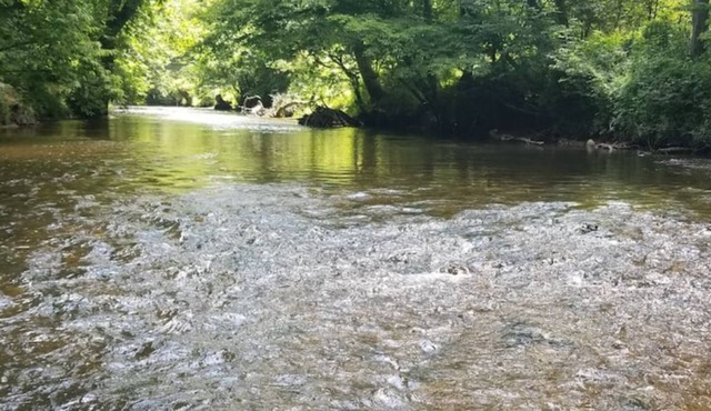 Brand New-1 Bedroom Condo right on the Toccoa River